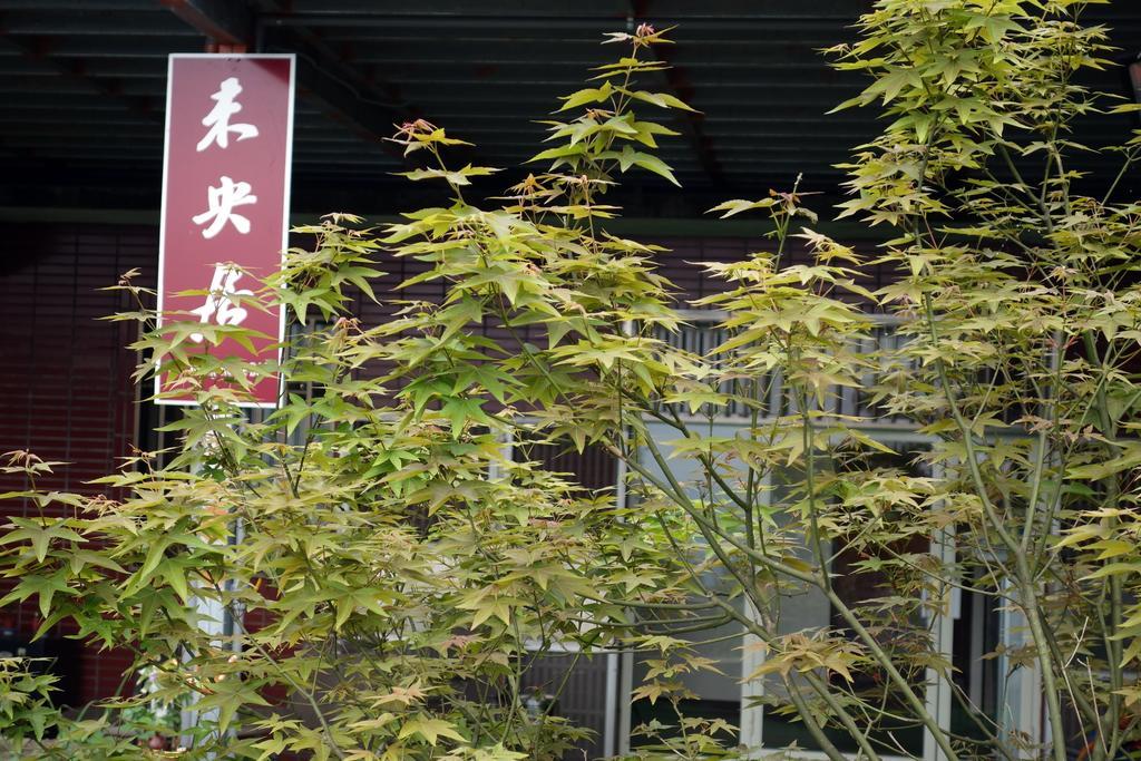 Way Young House Jiufen Exterior foto
